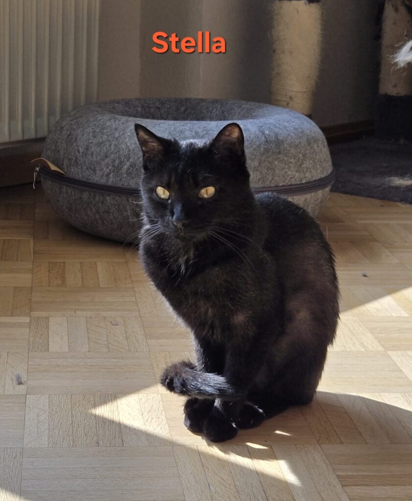 Stella
