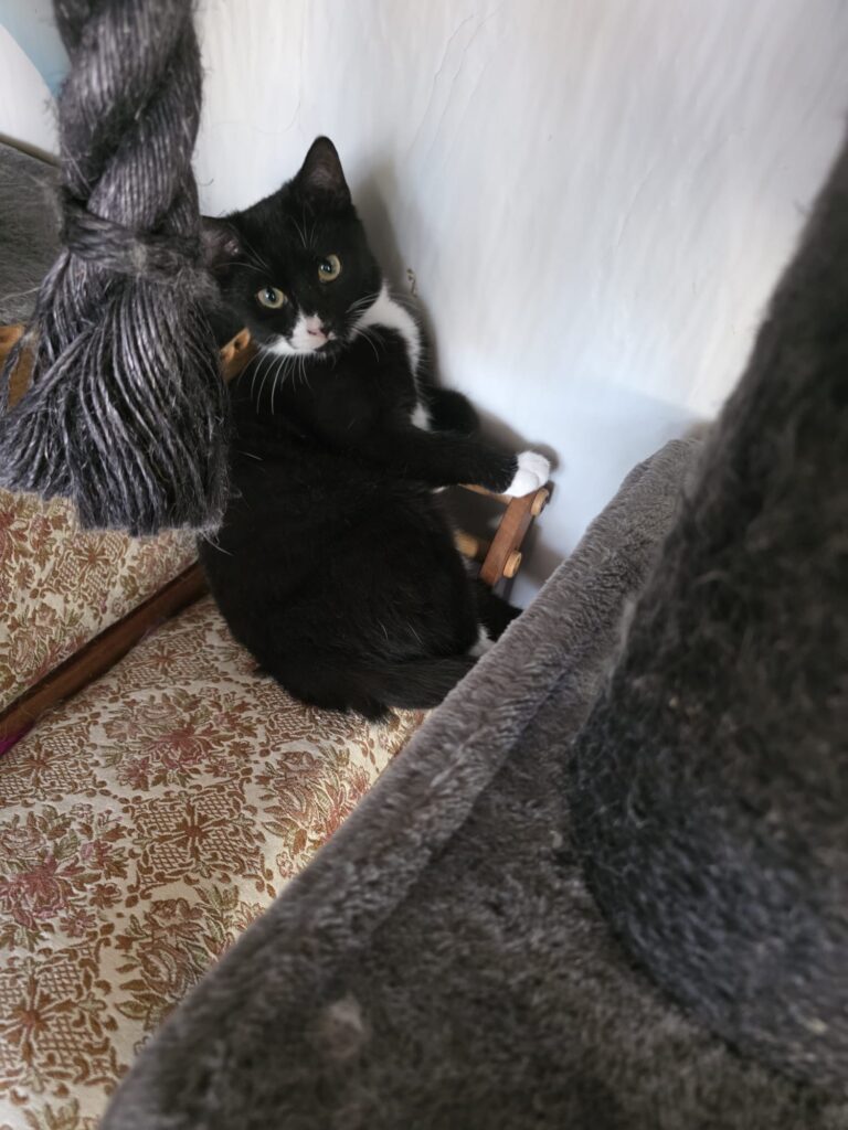 Buddy & Grumpy