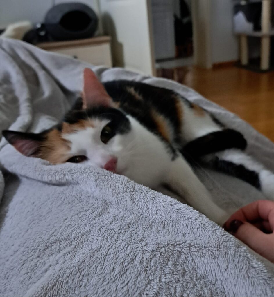 Diva